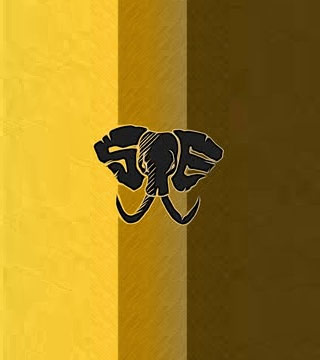 STAGEDIVING ELEPHANTS