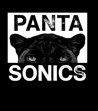 PANTASONICS